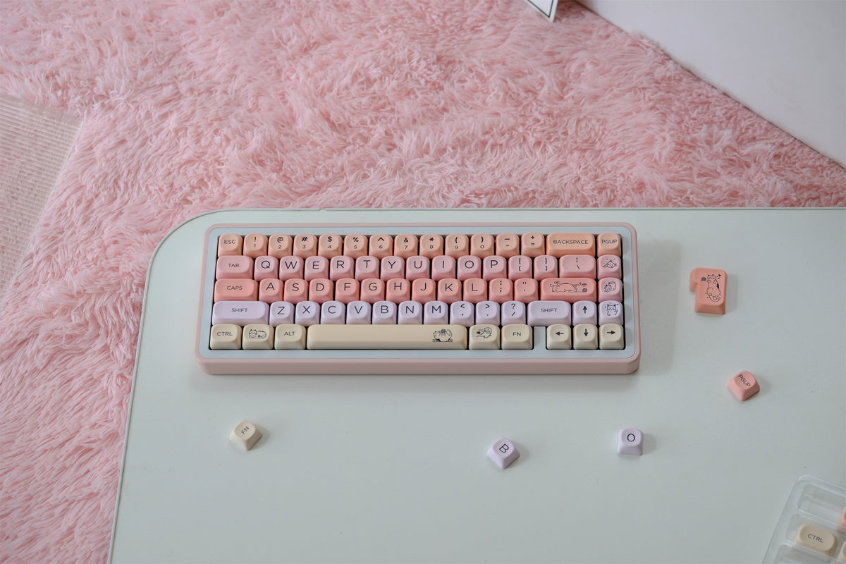 Hajimi Kitty Diary Keycaps - Diykeycap