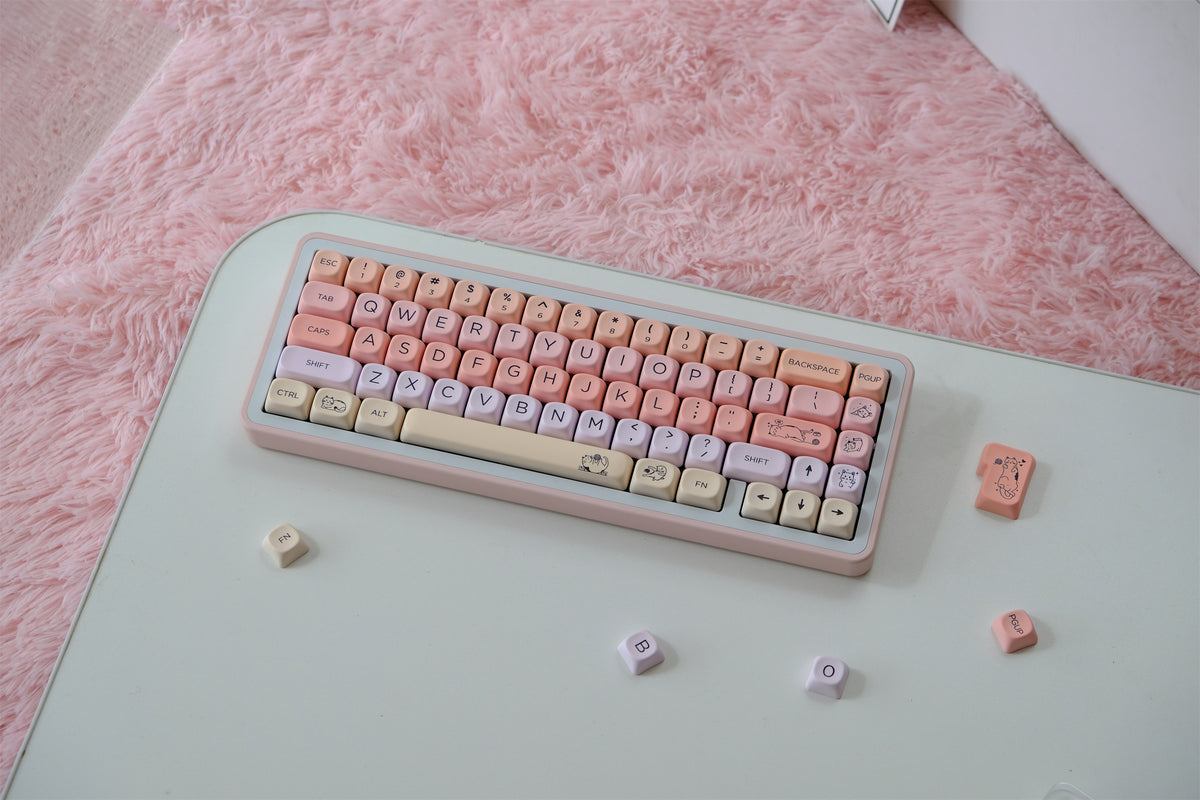 Hajimi Kitty Diary Keycaps - Diykeycap