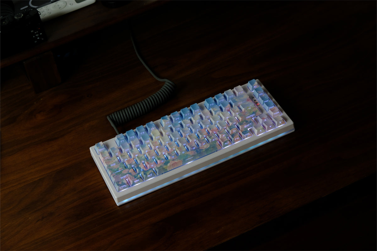 Touches de clavier peintes à l’huile « Rose Garden » - Diykeycap