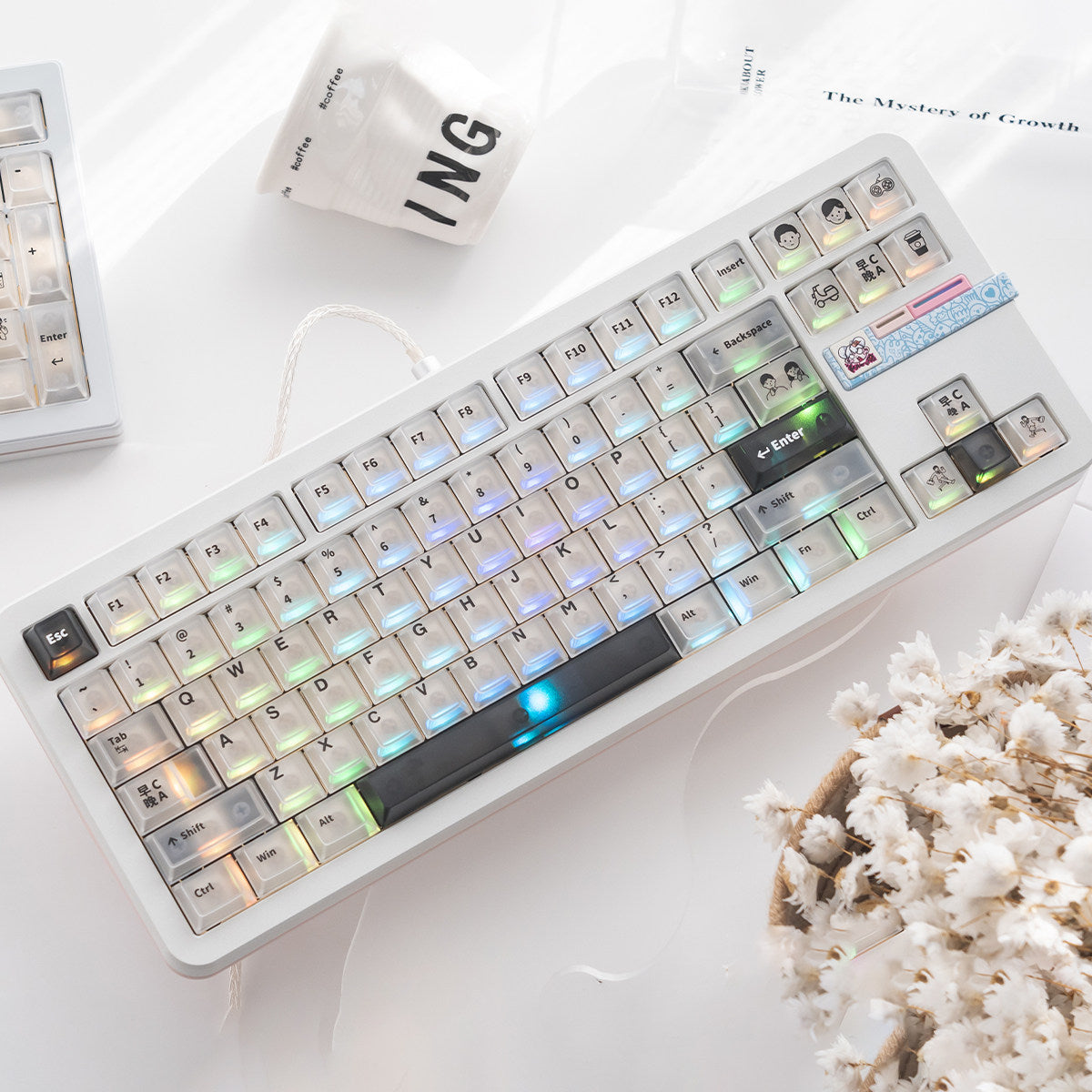AM/PM Frosted White keycaps - Diykeycap